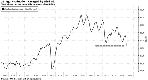 US Egg-Laying Hen Population Implodes, Wholesale Egg Prices Hit New Record